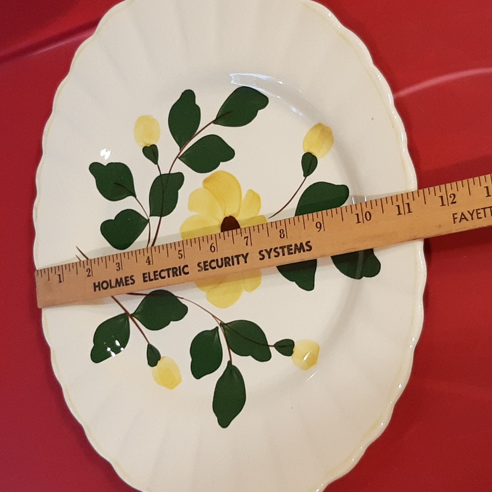 Blue Ridge vintage platter - Picture 3 of 10